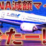 ANA国内線✈︎減額マイルキャンペーンきたー‼️‼️