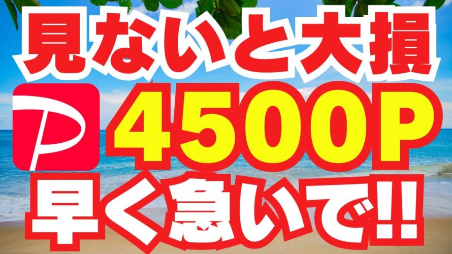 【 paypay 】穴場の キャンペーン で ペイペイ ゲット! おすすめ ポイ活 で ポイント を 稼ぐ 方法 スマホ 副業 で 不労所得 を 稼げる キャッシュレス で 節約 貯金 【 お金 】