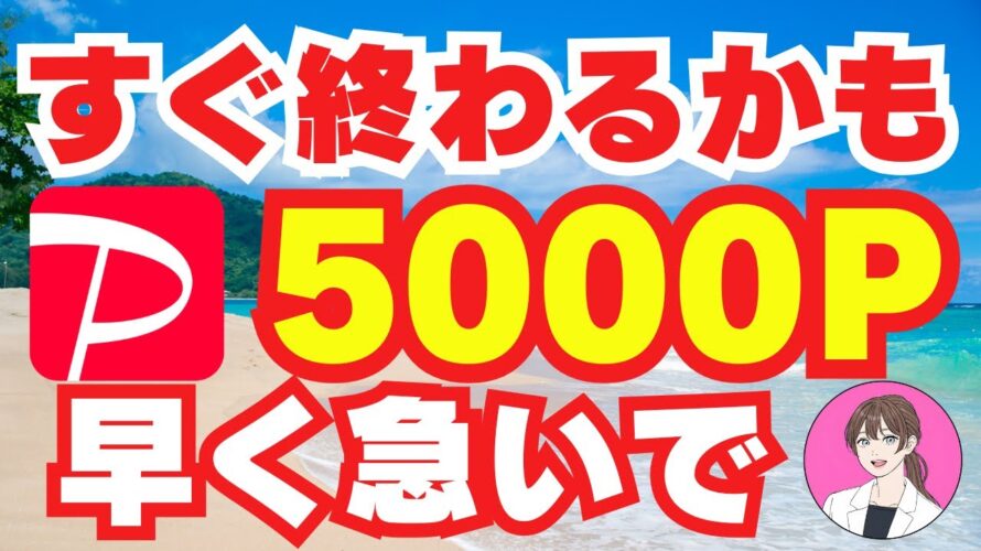 【 paypay 】神 キャンペーン で5000 ポイント ！ ペイペイ を 稼げる ポイ活 スマホ で 稼ぐ おすすめ 副業 で 不労所得 キャッシュレス で お金 を 節約 貯金 【 モッピー 】