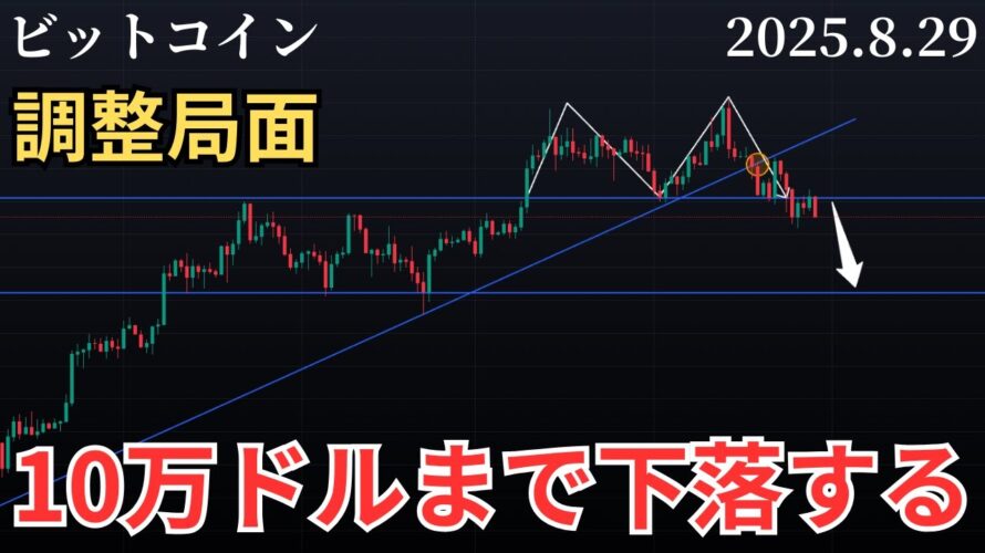 【📉相場は調整局面❗️ビットコイン10万ドルまで下落か⁉️】