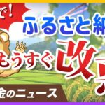ふるさと納税のポイント還元が禁止に。今がお得に利用できるラストチャンス【リベ大公式切り抜き】