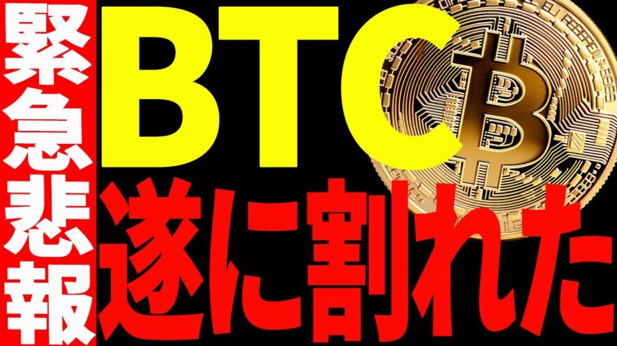 【仮想通貨】ビットコインが遂に割れた！〇〇ドルの攻防で今後の方向性が決まる！