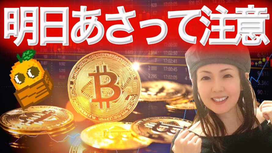 ビットコイン毎年のこの時期の傾向 クソインフルエンサーに騙されるな