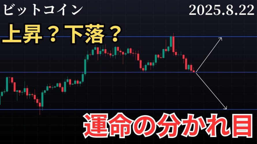 【ビットコイン重要サポート到達❗️反発できるか⁉️】