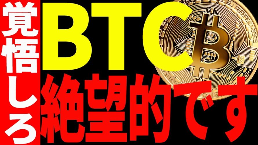 【仮想通貨】ビットコイン絶望的です!今後〇〇ドルまでの下落を覚悟しろ!