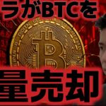 クジラがビットコインを過去1年で最大級の売却をしてる。ビットコインの今後の展開は！？