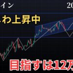 【📈ビットコイン12万ドル目指す❗️BTC、ETH、XRP、SOL、ADA、DOGE、AVAX、LINK分析】
