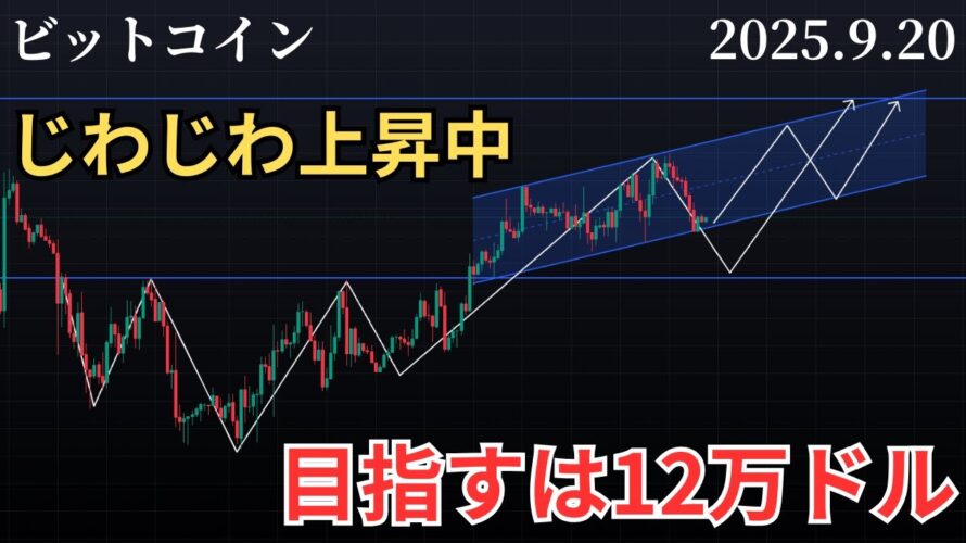 【📈ビットコイン12万ドル目指す❗️BTC、ETH、XRP、SOL、ADA、DOGE、AVAX、LINK分析】