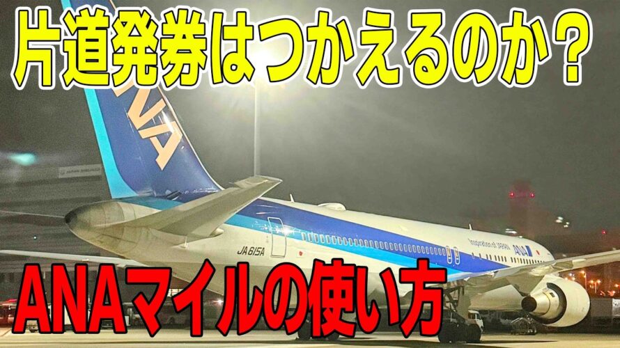 ANAマイルでお得に旅行する方法教えます 片道発券のメリットとデメリットを解説します