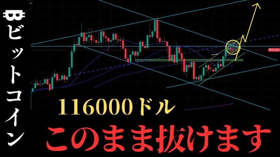 【今週予想】ビットコイン急上昇に乗じて中期買い場の戦略を公開します：BTCUSD