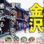 【金沢ひとり旅✈️】街お散歩で癒され！ちょこっとグルメも！茶屋街・九谷焼・JALマイルで行く金沢  🌺 M’s Journey
