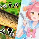 【食レポ】新感覚の干物！魚嫌いにこそおすすめな『砂干しのサバ』を食レポするみょ！🐙🐟【#西浦めめ】#PR