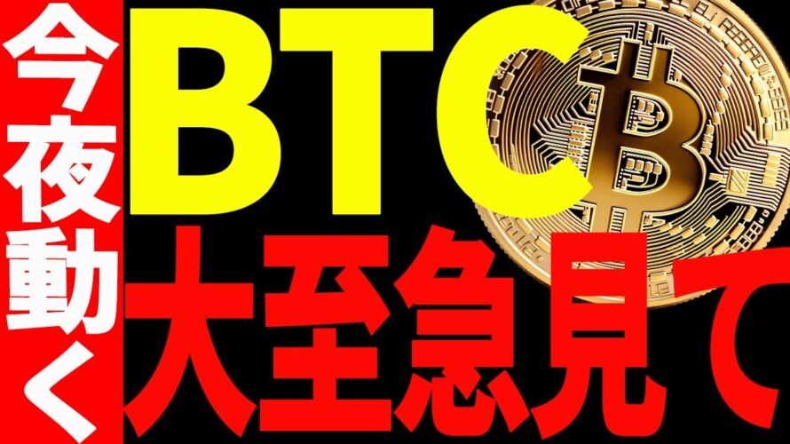 ⚠️大至急見て⚠️ビットコインが今夜動く！？今後の重要ポイント全て教えます！
