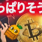 ビットコイン歴史通りか どこまで下がる？