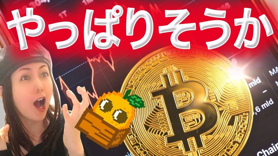 ビットコイン歴史通りか どこまで下がる？