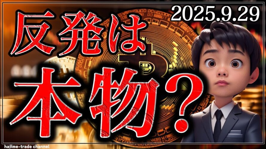 ビットコインの上昇の真偽【ゴールド,ナスダック】