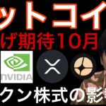 ビットコイン10月爆上げサイン!XRP4.3ドルへ?トークン株式が仮想通貨に影響!エヌビディア最高値更新!