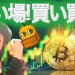 ビットコイン今月中に14万ドルか XRP 安値切り上げの展開に期待
