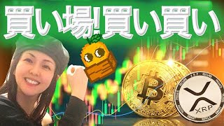 ビットコイン今月中に14万ドルか XRP 安値切り上げの展開に期待