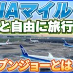 ストップオーバーとオープンジョーで旅がもっと楽しくなる！ ANAマイル