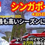 ✈️子連れ特典旅行!シンガポール初日にF1会場に潜入!? Gardens by the Bayと大観覧車🎡特典情報満載