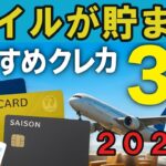 【初心者必見】マイルで旅行!おすすめクレカと貯め方を徹底解説✈️