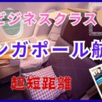 シンガポール航空ビジネスクラス　超短距離　クアラルンプール→シンガポール