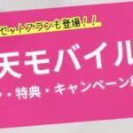 【楽天モバイル】プラン説明&各種キャンペーン紹介