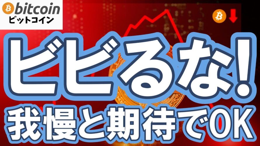【仮想通貨 ビットコイン】目先の下落にビビるな！上目線を諦めるには”まだ早い！”（朝活配信2016日目 毎日相場をチェックするだけで勝率アップ）【暗号資産 Crypto】