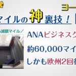 【ANAマイル】ビジネスクラスを59000マイル安く予約する裏技！(ヨーロッパ編)