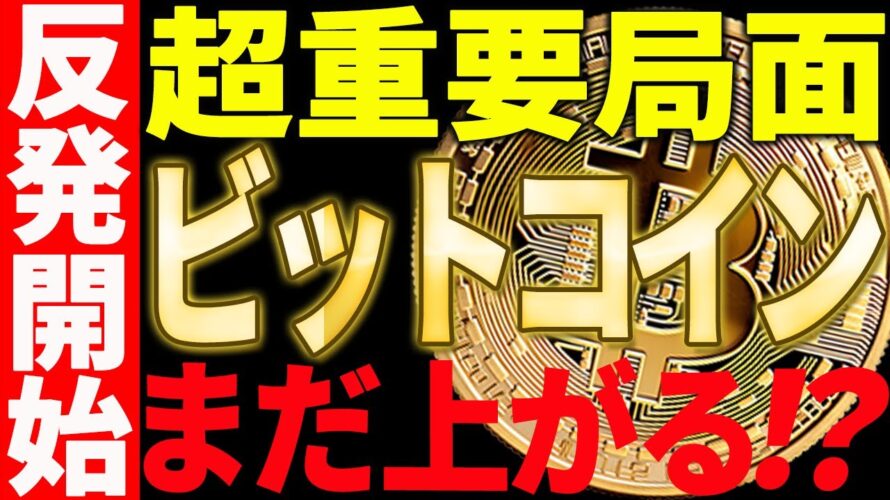 ビットコイン反発開始！まだ上がるのか⁉超重要局面です⚠️