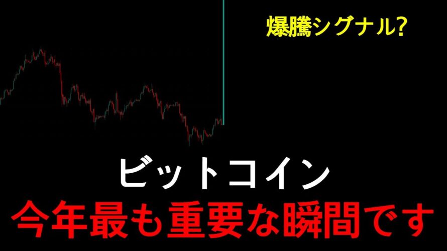 覚悟してください。ビットコインは、ここから狂ったように上がるしかありません。