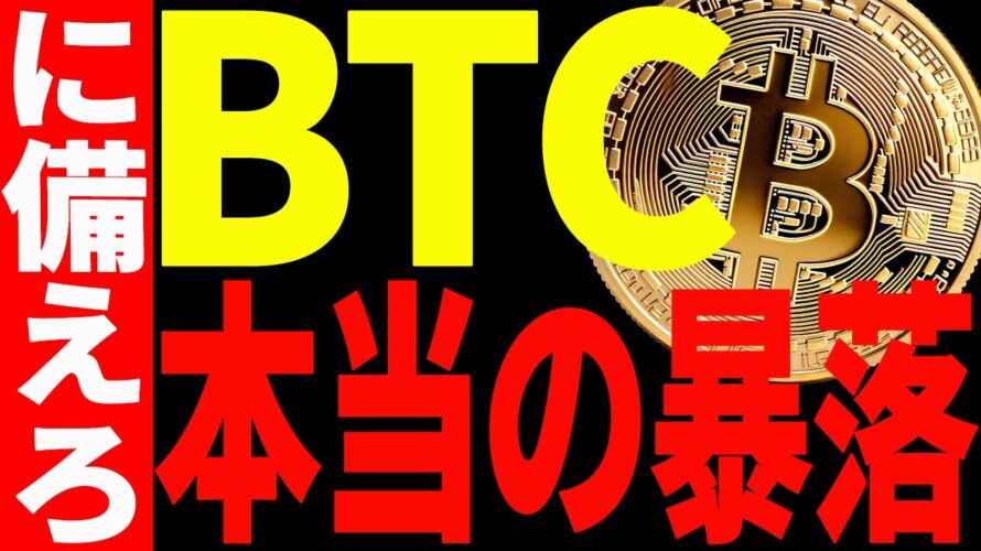 ⚠️ビットコインの本当の暴落はこれから！？⚠️今後の注目ポイント全て教えます！【仮想通貨】