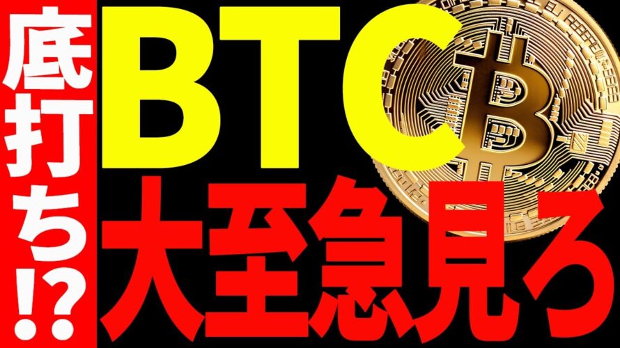 ⚠️大至急見て⚠️ビットコインの底打ちが近い⁉今後の最新戦略を教えます！