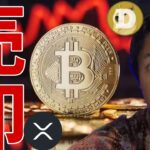 ビットコインついに売却！仮想通貨リップルとドージコインに進展！