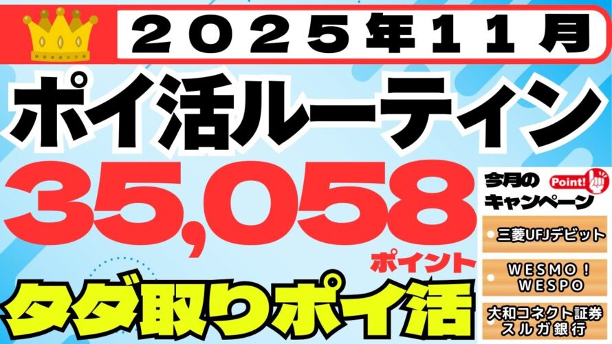 【ポイ活ルーティン】３５，０５８ポイント獲得（１１月１日～１１月３０日）（毎月コツコツ・タダ取りポイ活、キャンペーン攻略）