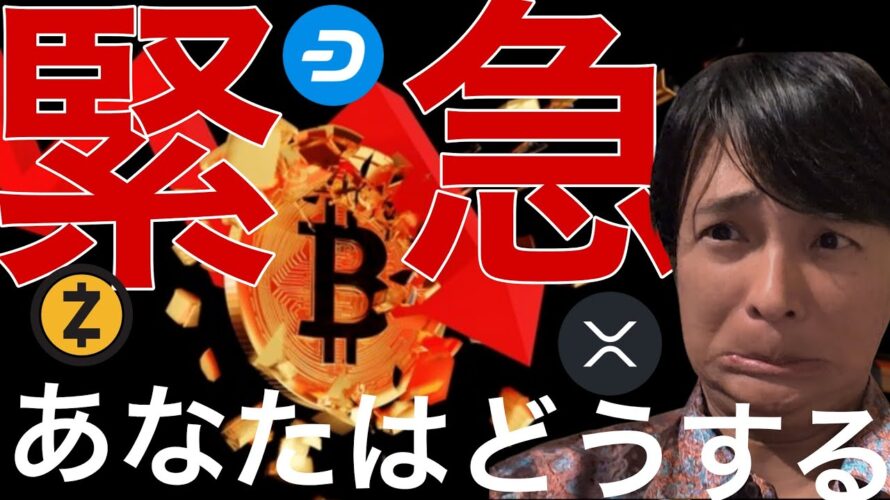 緊急事件でビットコイン大暴落へ？あの仮想通貨たちは爆上げ！あなたはどうする？