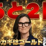 【12/10利下げか】ビットコイン上昇予測！金が暴落？／XRPゲームチェンジ／リップルの計画とは（Bitcoin ビットコイン ETH SOL イーサリアム ソラナ 最新情報 取引所 おすすめ 税金）