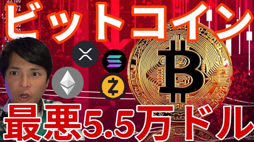 ビットコイン2026年最悪5.5万ドル(800万円)、他の仮想通貨もっと悲惨に！