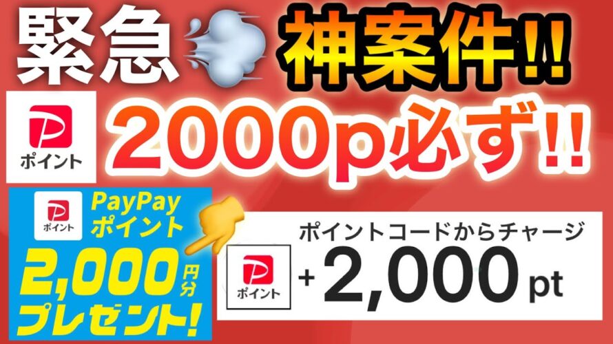 【絶対早く見て】明日からPayPay2000p必ず…‼︎さらにQUOカードやdポイントも！！！！