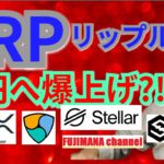 【仮想通貨ビットコイン, イーサリアム, リップル, XLM, NEM, IOST, DOT】XRPが80円へ爆上げ⁉️🚀