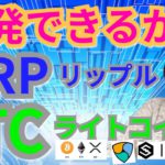 【仮想通貨ビットコイン, リップル, イーサリアム, ライトコイン, XLM, NEM, IOST】XRP＆LTC反発できるか☝️
