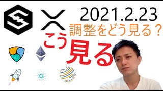 【調整をこう見る】IOST,リップル,ステラルーメン,NEM,イーサリアム,カルダノエイダ,ファクトム2021 2 23チャート分析