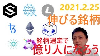 【買場でしかない】IOST,ETH,QTUM,LTC,XTZ,ADA,UNI,LINK2021 2 25チャート分析