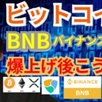 【仮想通貨BTC, XRP, BNB, ETH, NEM, IOST】ビットコイン＆バイナンスコイン爆上げ後こうなる