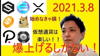 仮想通貨IOST,エンジンコイン,XRP,SafePal,DOGE,ポルカドット,ADA2021年3月8日チャート分析