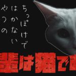 「吾輩は猫である！」マルチアングル powered by au 5G（Teaser）
