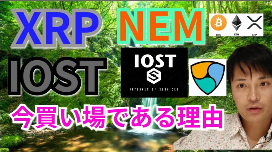 【仮想通貨BTC, ETH, XRP, NEM, IOST, ENJ】リップル、ネム、IOST,今が買い場の理由