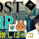 【仮想通貨リップル，IOST,CHZ,XEM,CAKE】XRP＆IOSTエネルギー充電中！？PancakeSwapの買い場はココ！