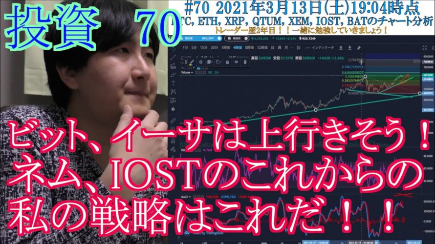 【投資】#70 ネムとIOSTのこれからの私の戦略!ビット、イーサ上行きそうだね!仮想通貨のチャート分析!